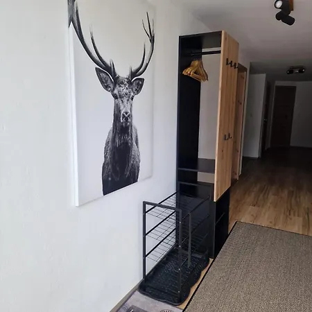 Alpenhirsch *
